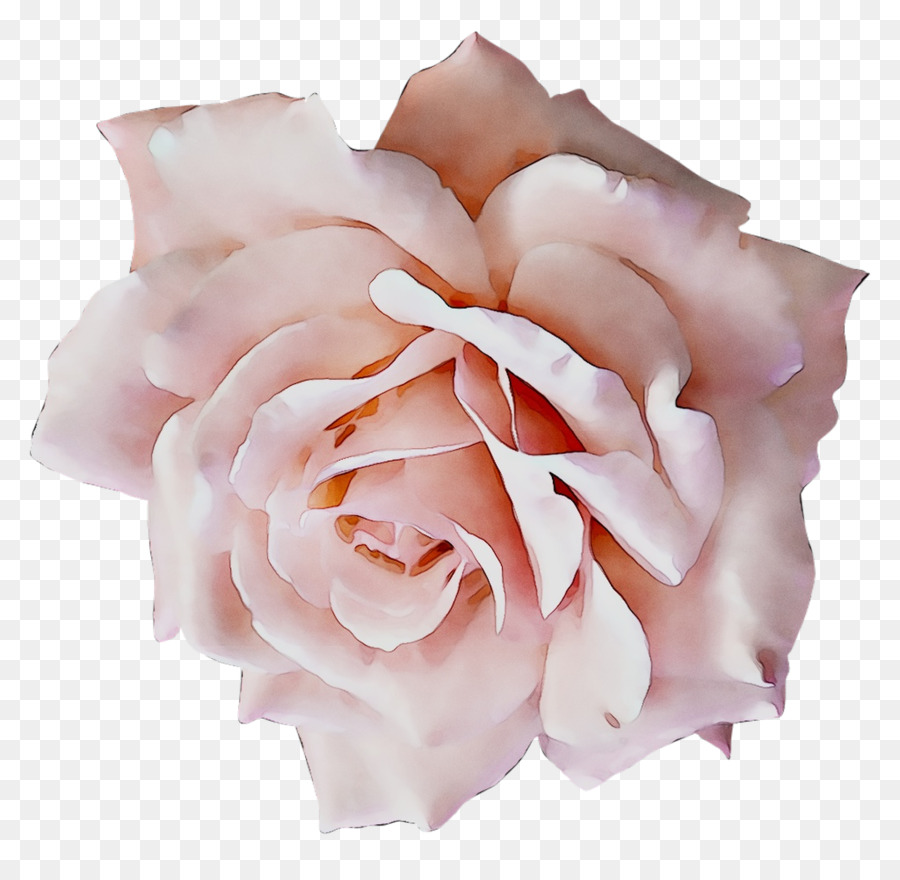 Bouquet di rose da Giardino Formale, usura di Nozze Accessori di Abbigliamento - 