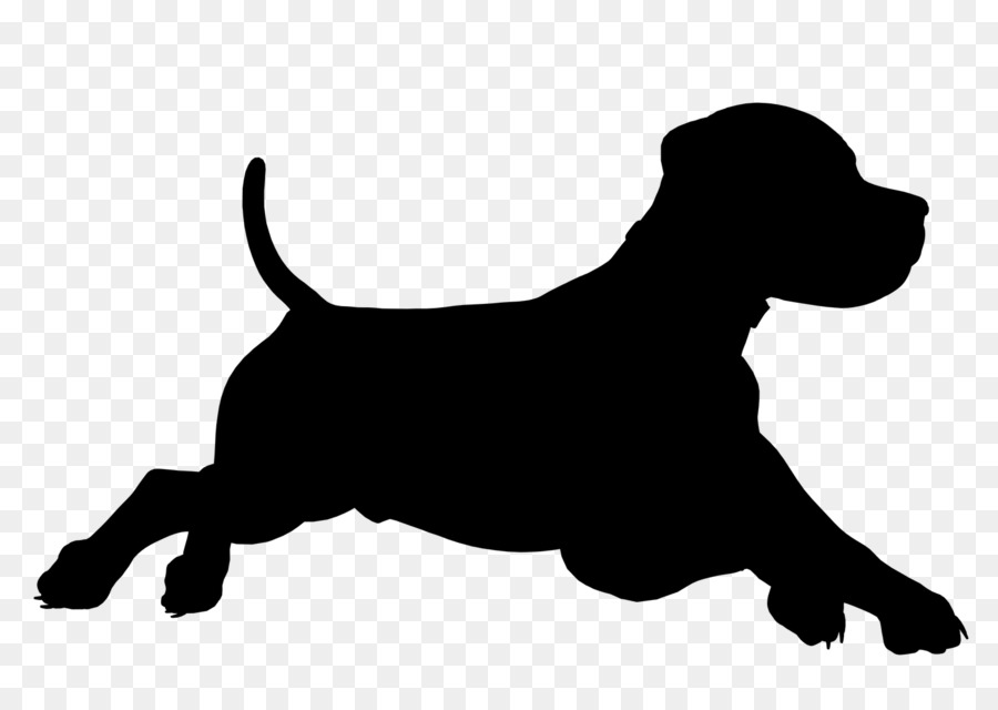 Labrador Retriever Levriero Dobermann cane da Caccia di grafica Vettoriale - 
