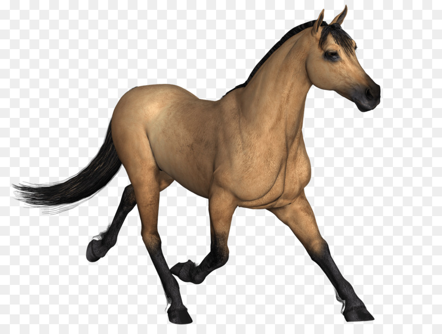Con ngựa Clip nghệ thuật Di động đồ Họa Mạng Ảnh, Stallion - Con ngựa