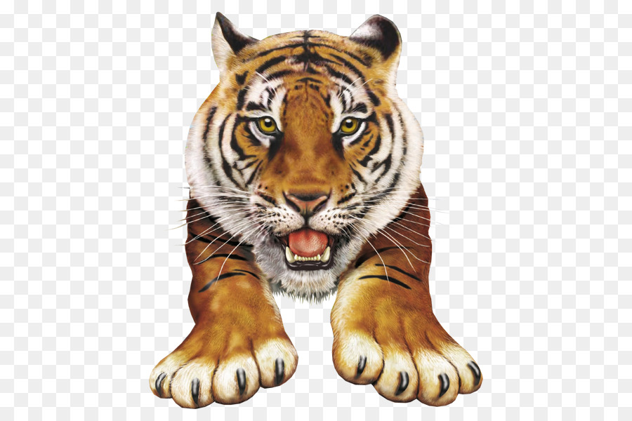 Incredibile Pop-up Animale Atlas Tigre Clip art Immagine Portable Network Graphics - tigre