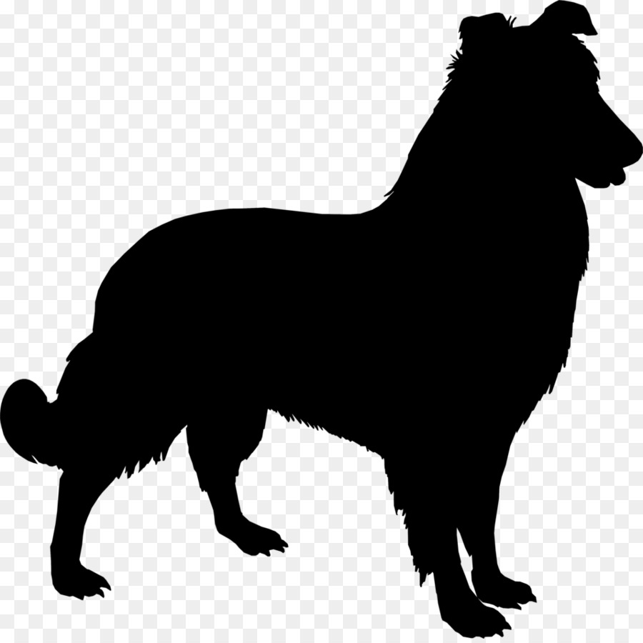 Anatolian Shepherd Yorkshire Terrier Sheltie Pastore Tedesco Pet - 