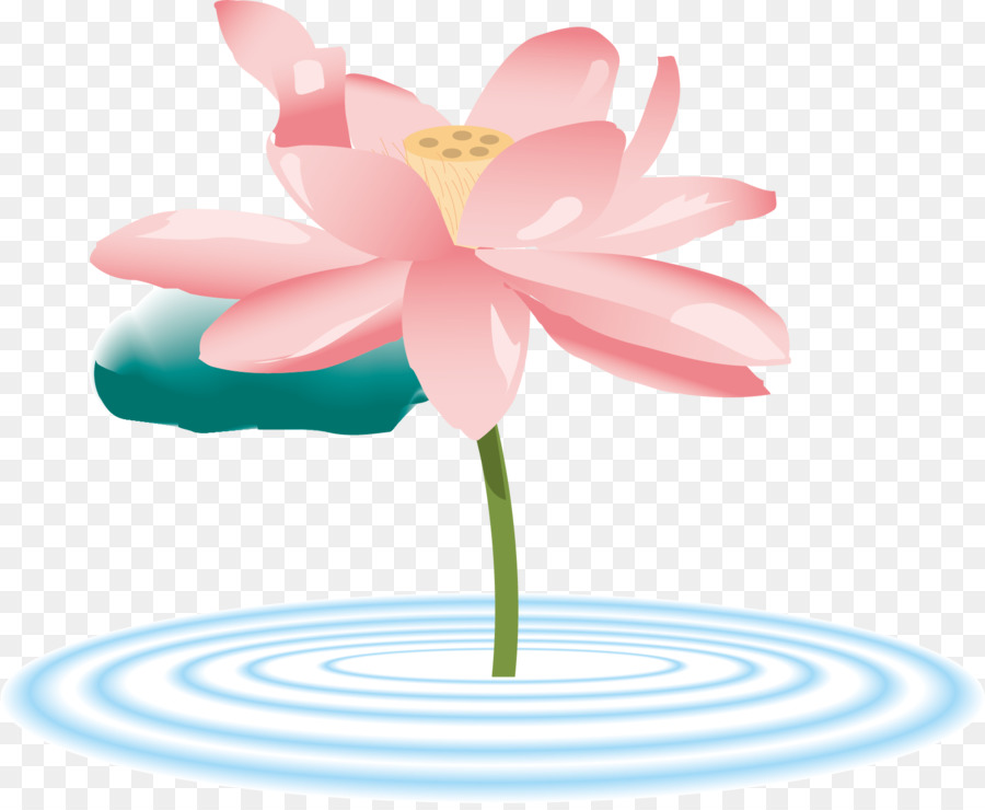Clip nghệ thuật Véc tơ đồ họa Thiêng liêng Lotus minh Họa Di động Mạng đồ Họa - phó véc tơ