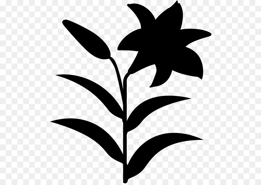 Clip nghệ thuật Hoa gốc Thực vật Lá Mẫu - 
