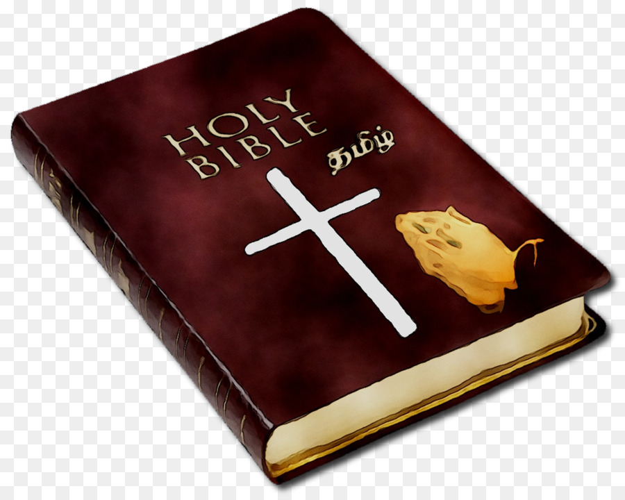 Bibbia cattolica Novum testamentum Graece Nuova Versione Internazionale testo Religioso - 