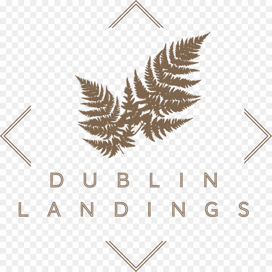 Host Punto di Campus Alloggio per Studenti a Dublino Sbarchi Lensmen Fotografia e Produzione Video Logo - bally modello