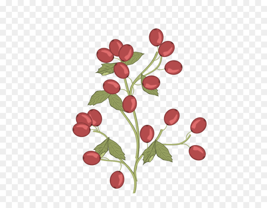 Cây dâu đỏ Hồng tiêu Củ cải bông Hoa - đừng clipps