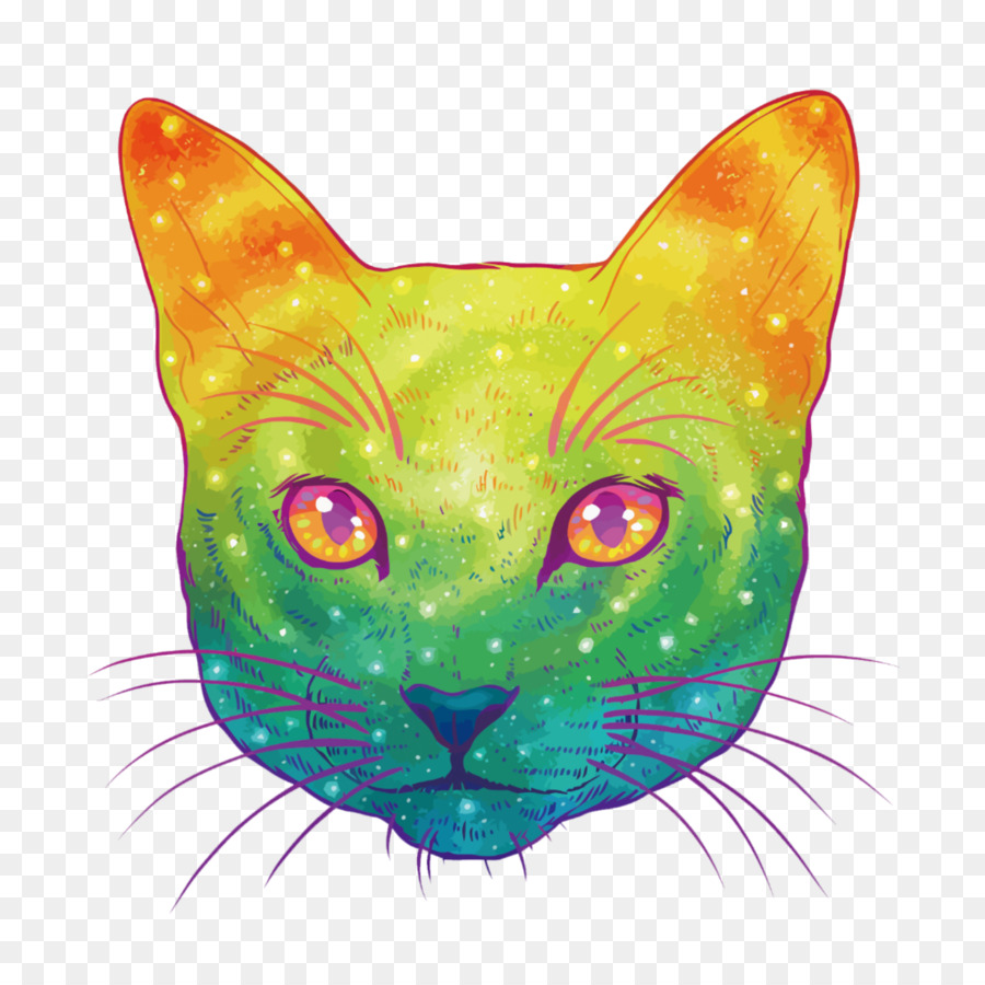 Gatto Gattino Felidae di grafica Vettoriale, Disegno - gatto