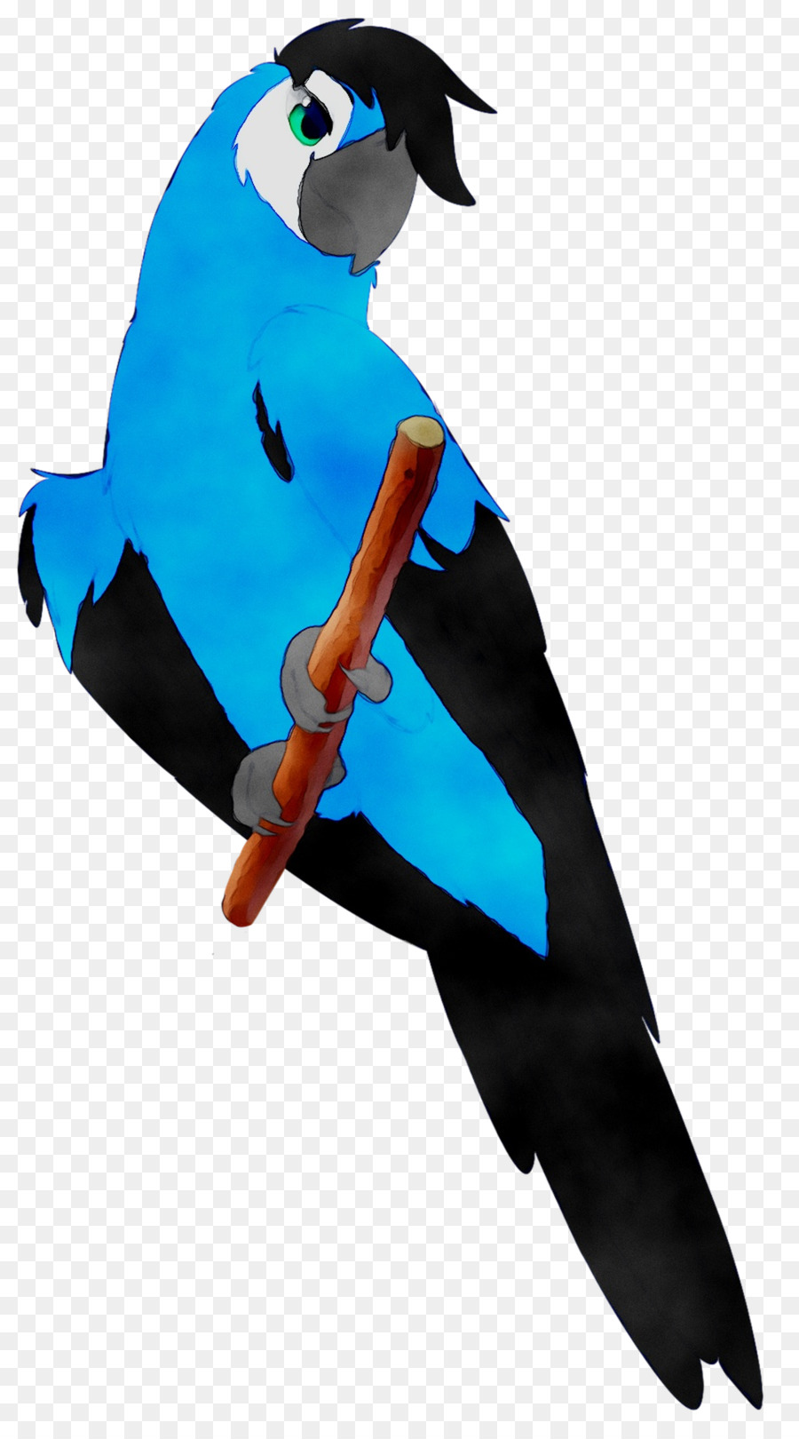 Macaw Pappagallo Pet Piuma Becco - 