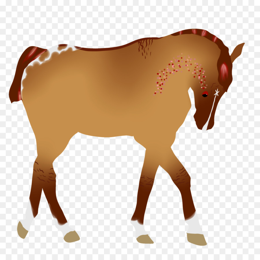 Mulo Puledro Di Asino Stallone Mustang - bangerz filigrana