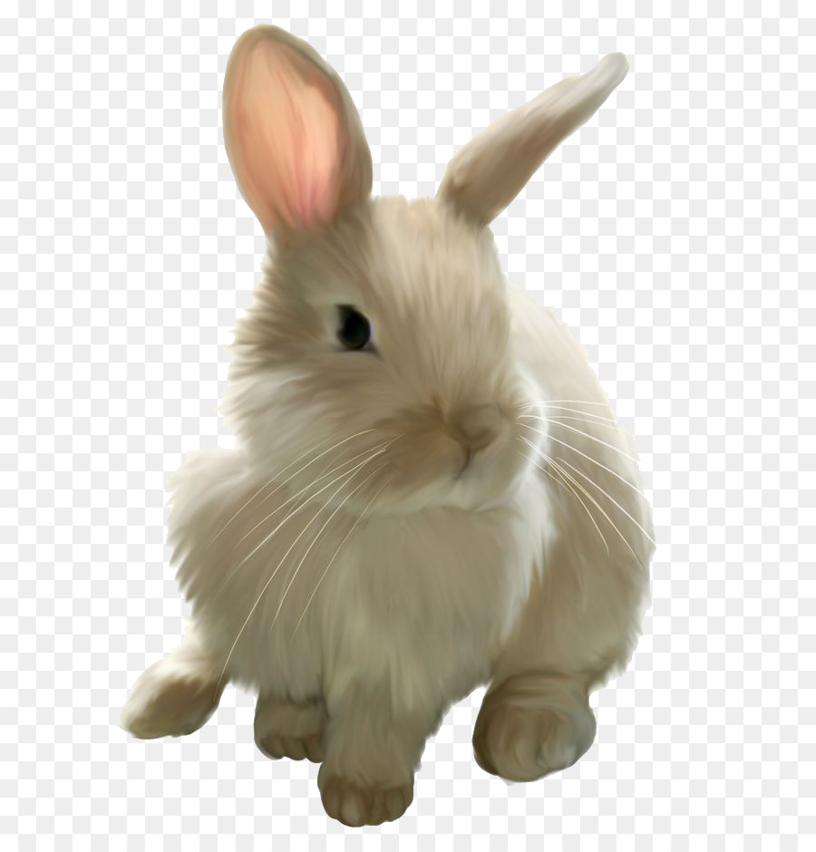 Mini Lớp thỏ trong Nước Thiên thần chú Thỏ Easter Bunny - thỏ