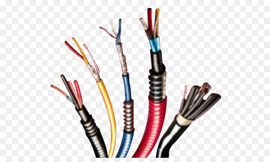 Netzwerk-Kabel, Elektrische Drähte & Kabel-Elektro-Kabel-Kabel-Behälter - Verkabelung ornament