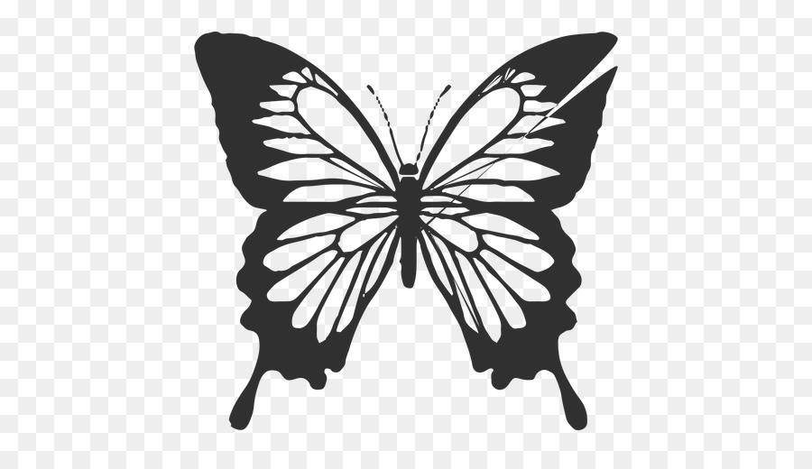 Butterfly Stencil png download - 760*760 - Free Transparent