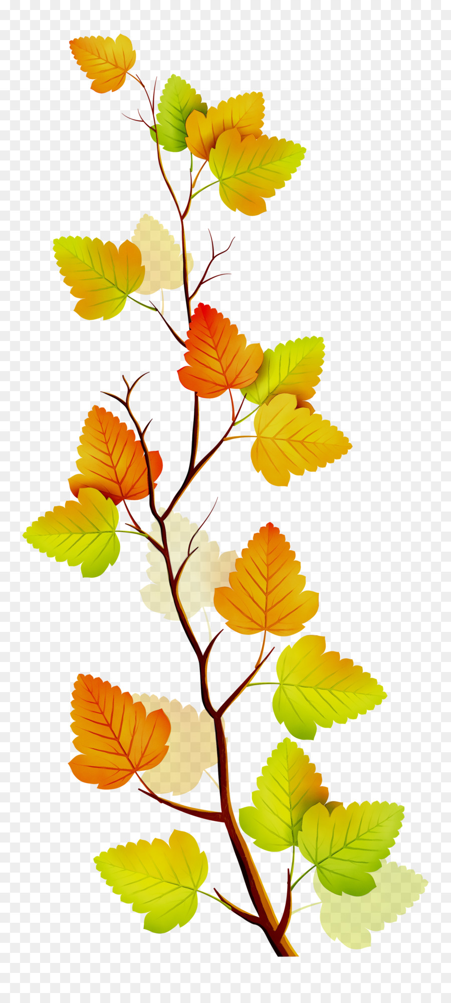 Cành Lá gốc Thực vật Clip nghệ thuật Rụng lá - 