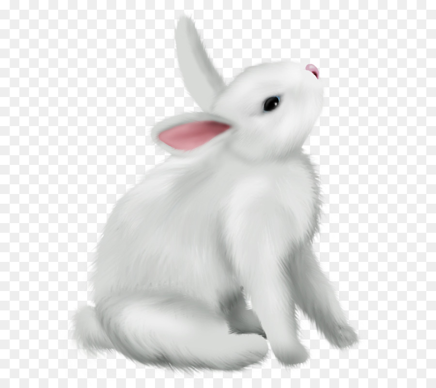 Thỏ trong nước Bắc cực hare Easter Bunny đồ Họa Mạng Di động - thỏ