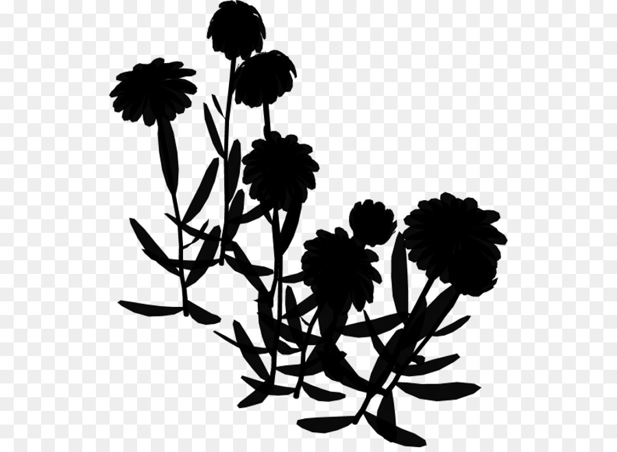 Chrysanthemum Floral-design-Blatt-Pflanze-Stiel - 