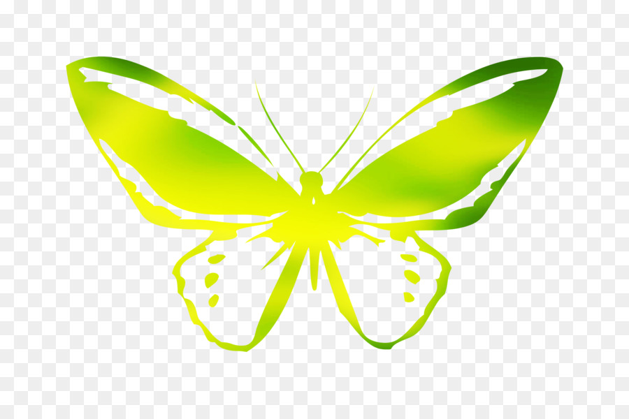 Monarch-Schmetterlings-Insekten-Zeichnung-Bild - 