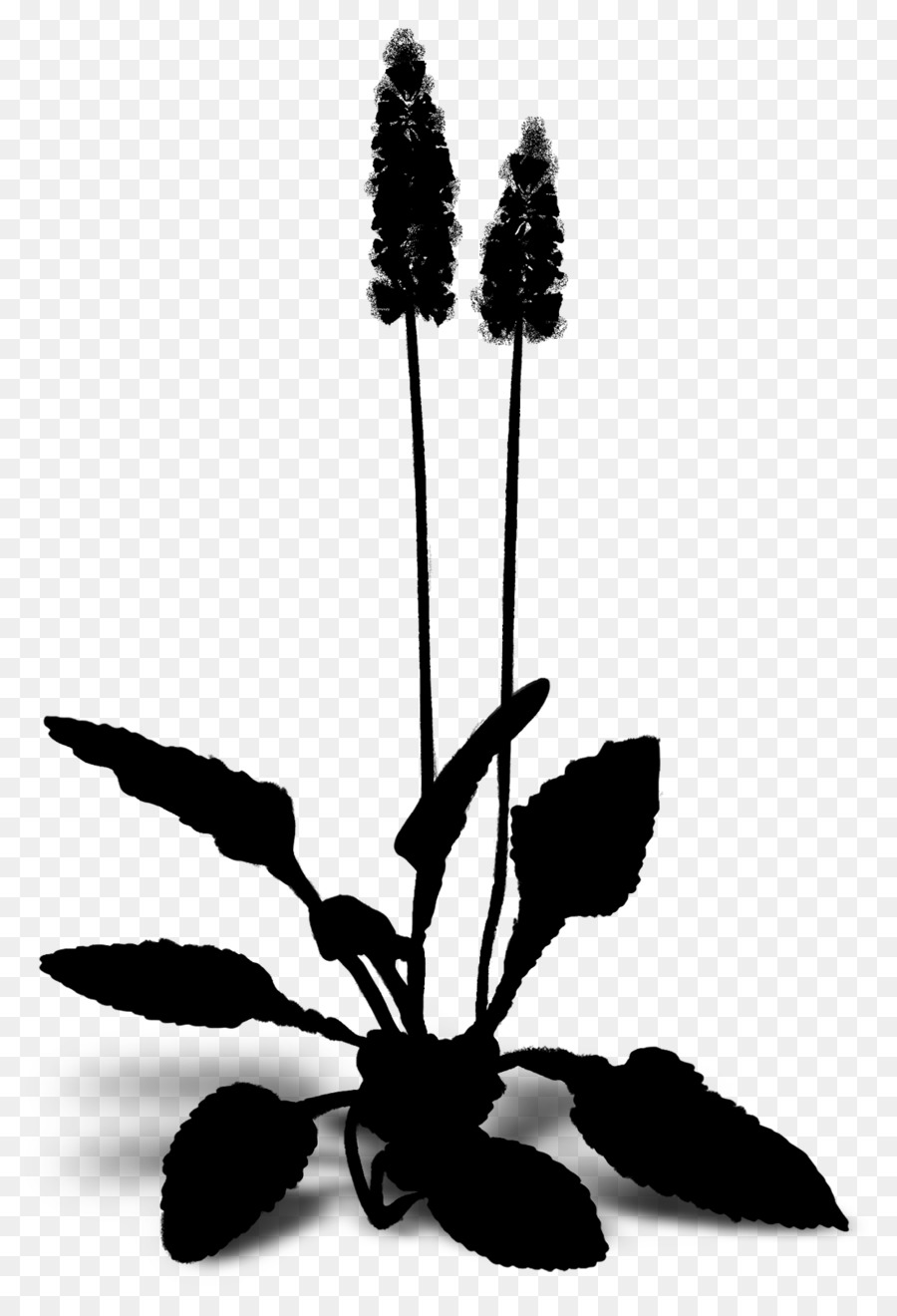 Blühende pflanze Pflanze Stiel Blatt Silhouette - 