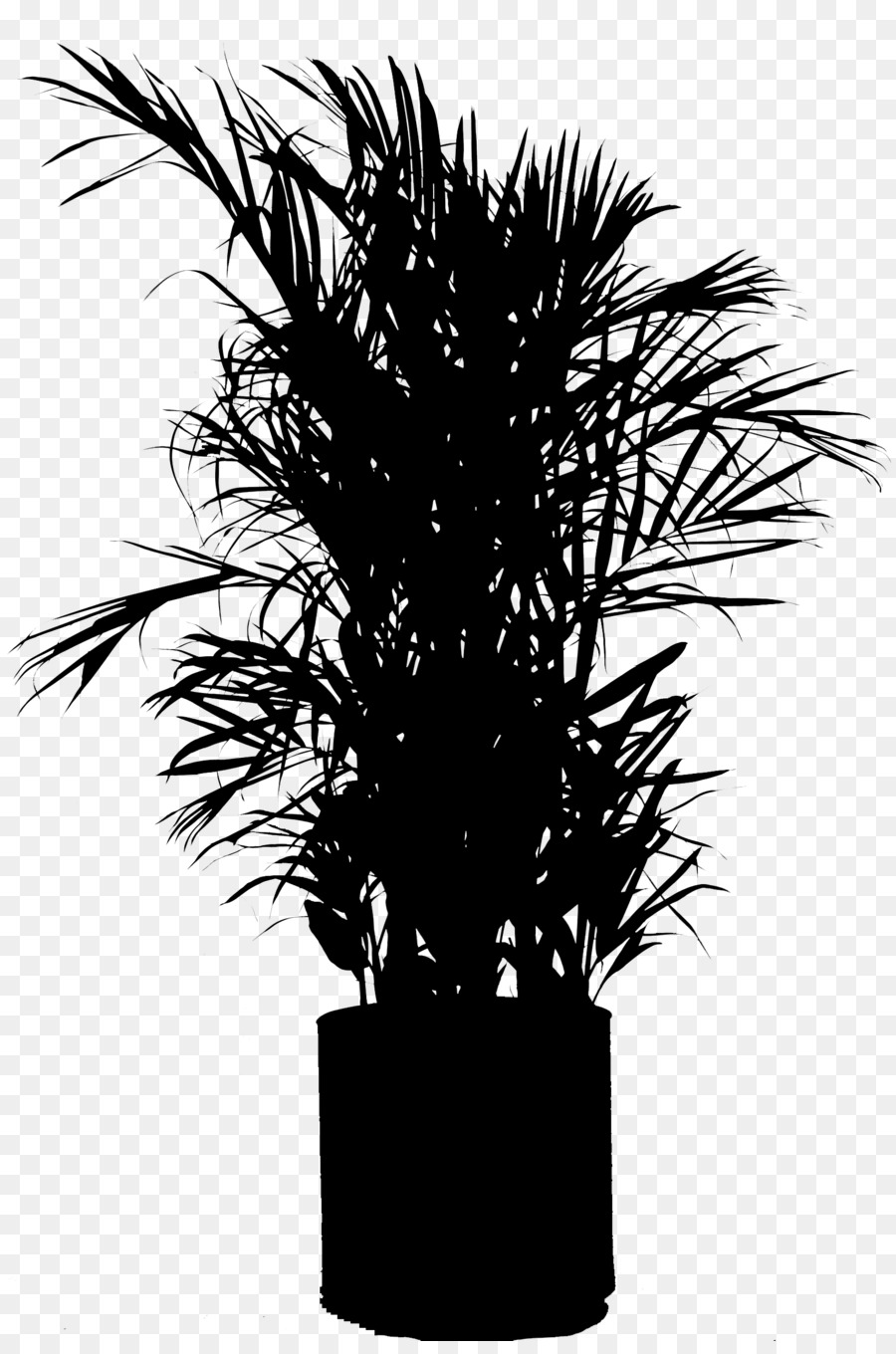 Asiatico palmyra palm Vaso pianta d'appartamento Silhouette staminali Vegetali - 