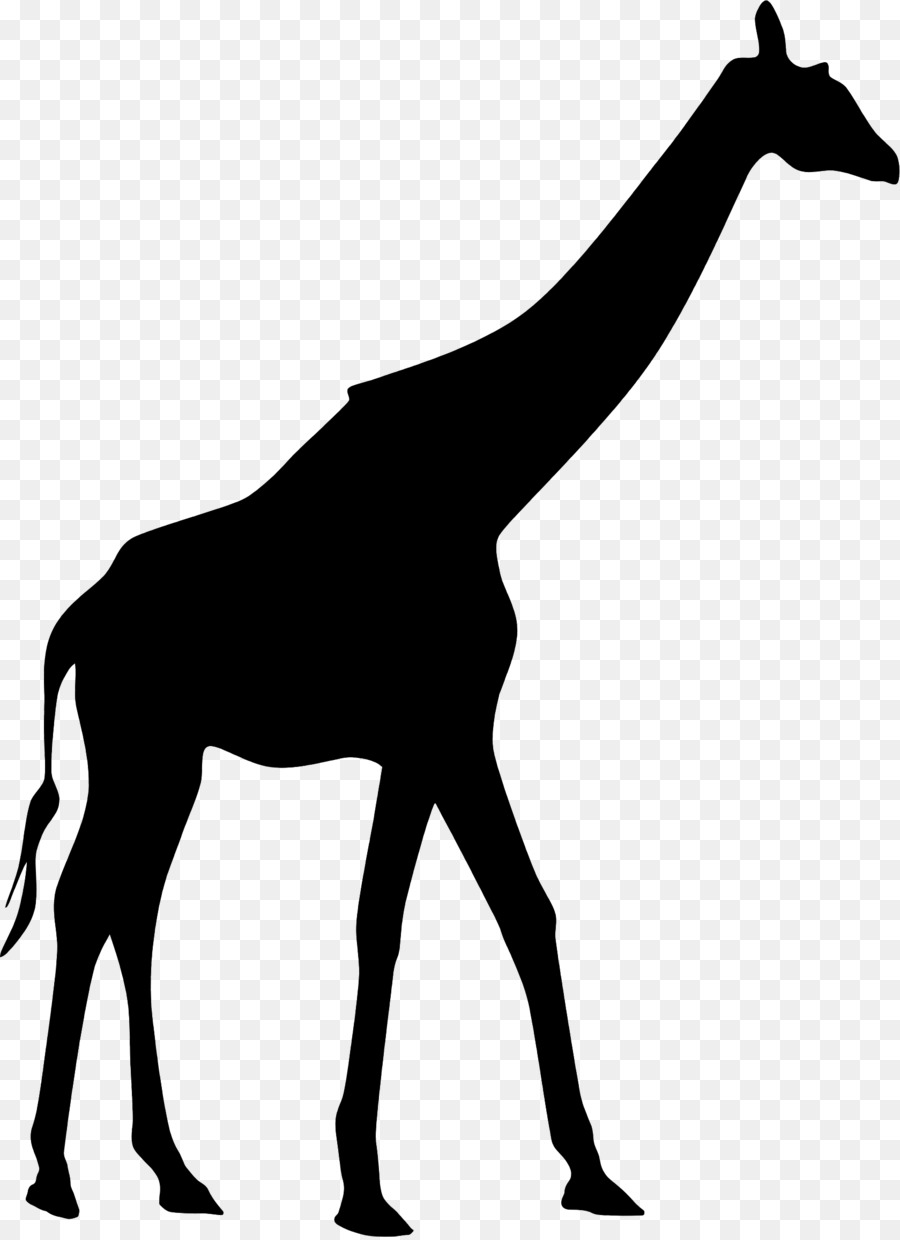 Giraffe Clip-art Vektor Grafik Silhouette Stock-Fotografie - 