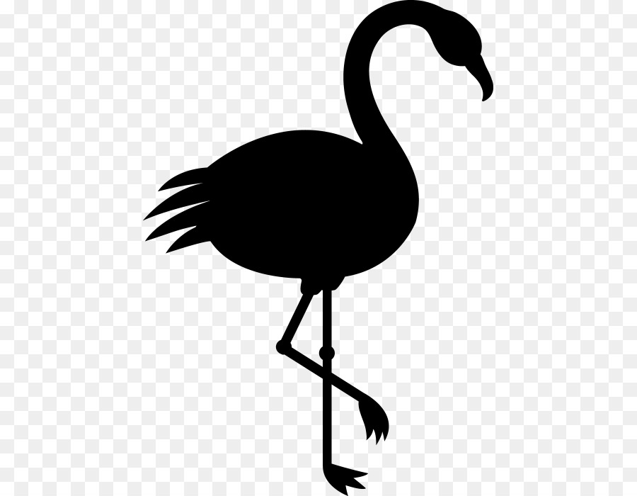 Hình Ảnh Minh Họa Di Động Mạng Đồ Họa Flamingo - 