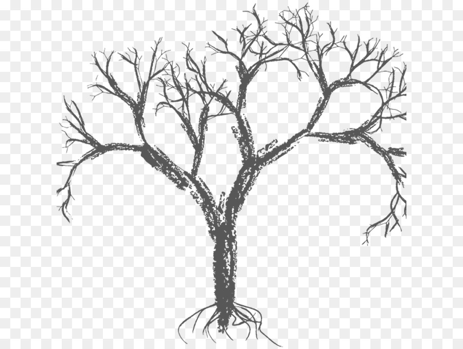 Vektor-Grafik-Baum-Zweig-Zeichnung Bild - Baum