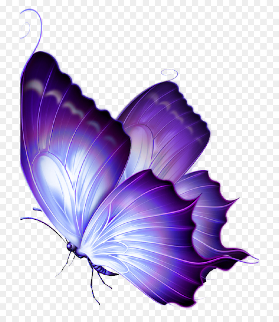 Bướm Vẽ hình Ảnh Papillon - bướm