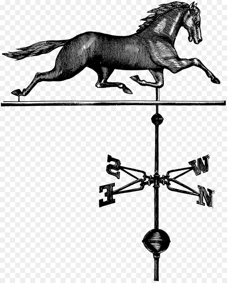 Mane Briglia Mustang inglese di equitazione, Pony - segnavento pulsante