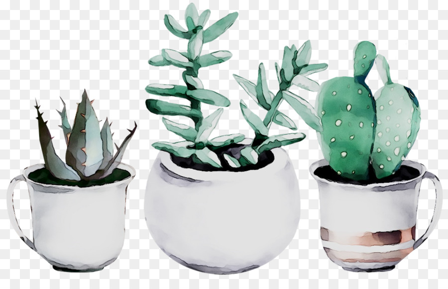 Cactus pianta Succulenta dipinto ad Acquerello, Disegno, Arte - 