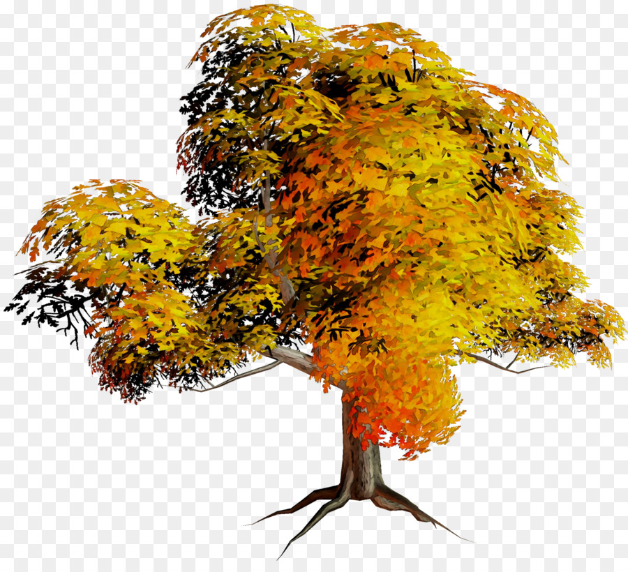 Autumn Tree Branch