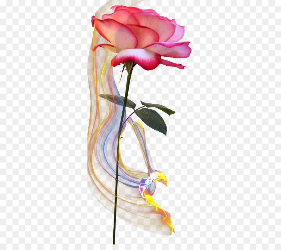 Cắt hoa xanh Xanh Rose - hoa