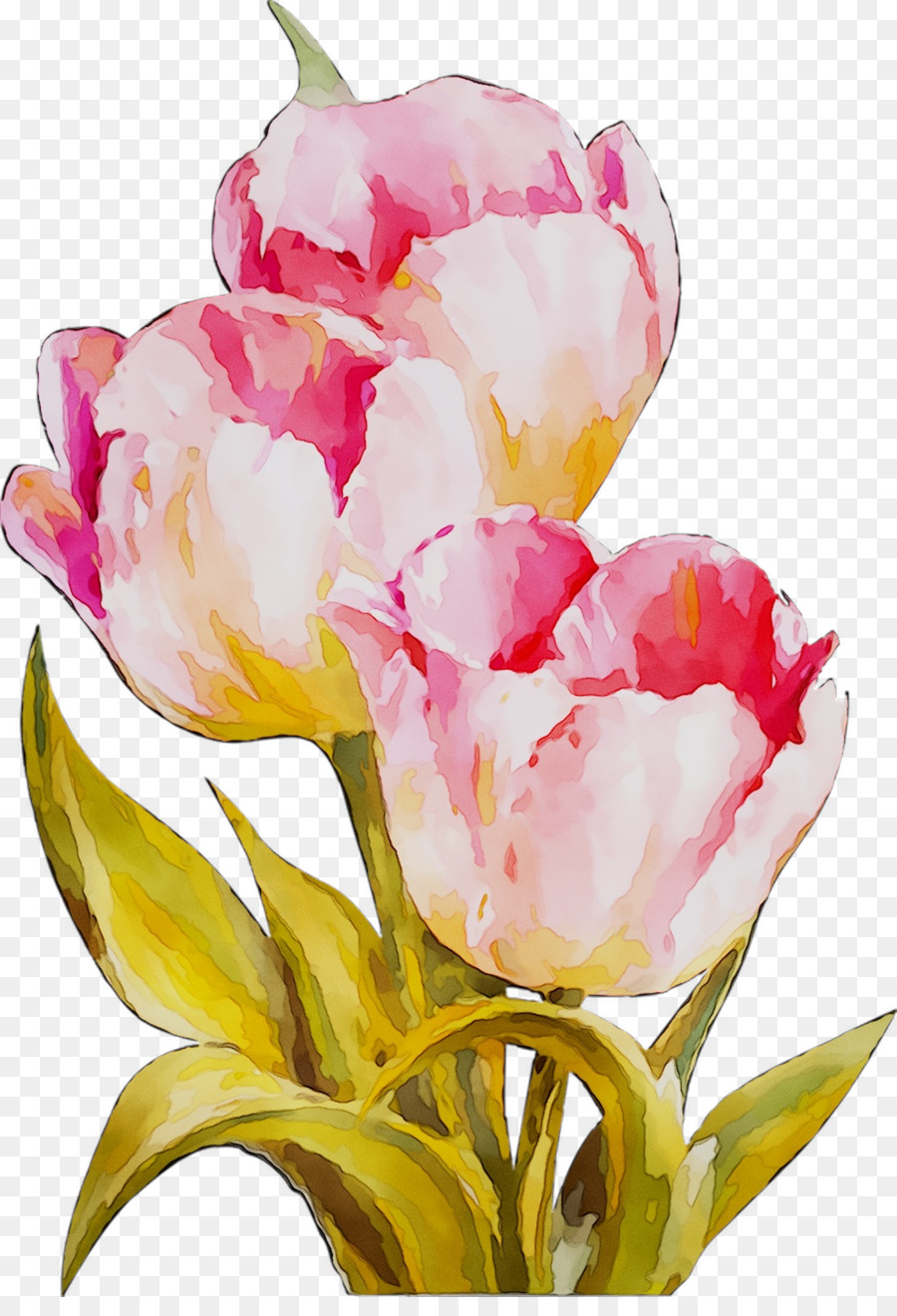 Hoa Tulip thiết kế Cắt hoa nhiếp ảnh Vẫn còn sống - 