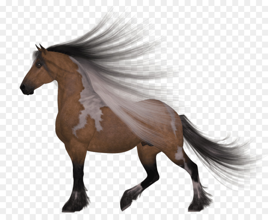 Purosangue Arabo cavallo American Quarter Horse Clydesdale horse American Paint Horse - scommesse elemento di design
