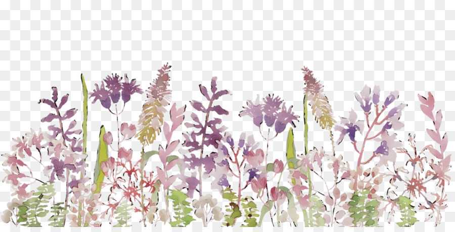 Englisch Lavendel, französischer Lavendel, Gräser Pflanze Stamm Pflanzen - 