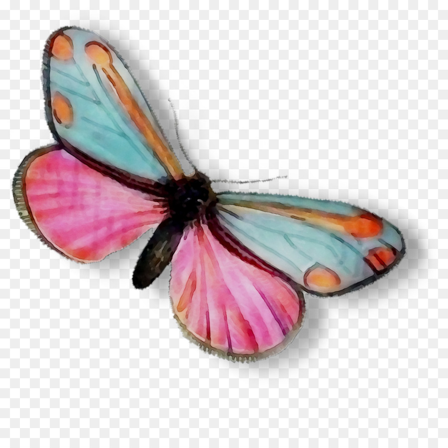 Monarch Schmetterling Pinsel footed Schmetterlinge Pieridae Tiger milkweed butterflies - 