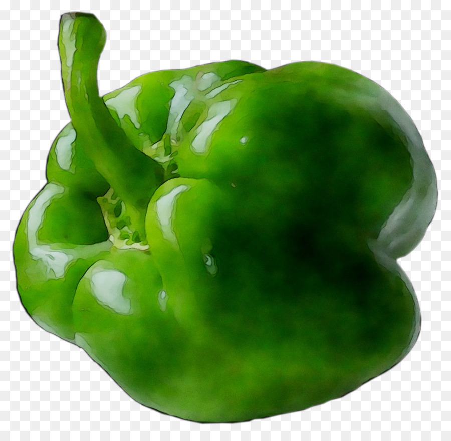 Habanero Poblano Pasilla Bell pepper Peperone giallo - 