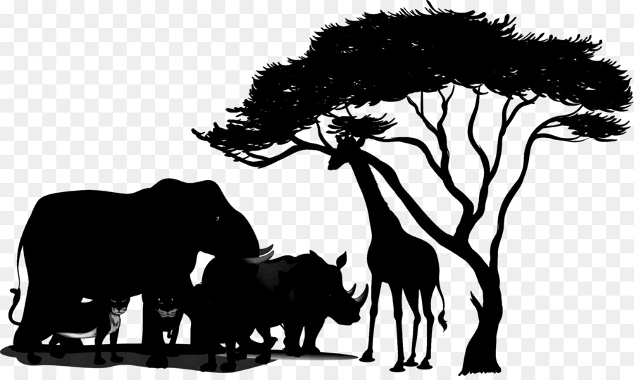 African Tree Silhouette