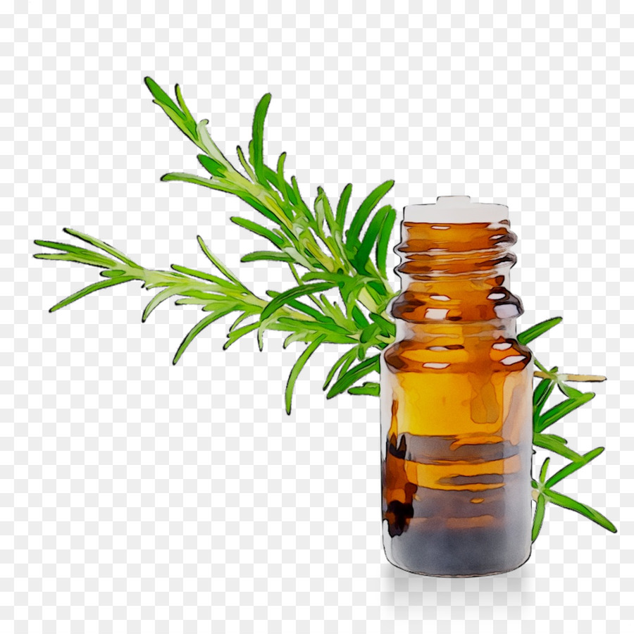 Servizi sanitari alternativi Herbalism Medicine Tree - 