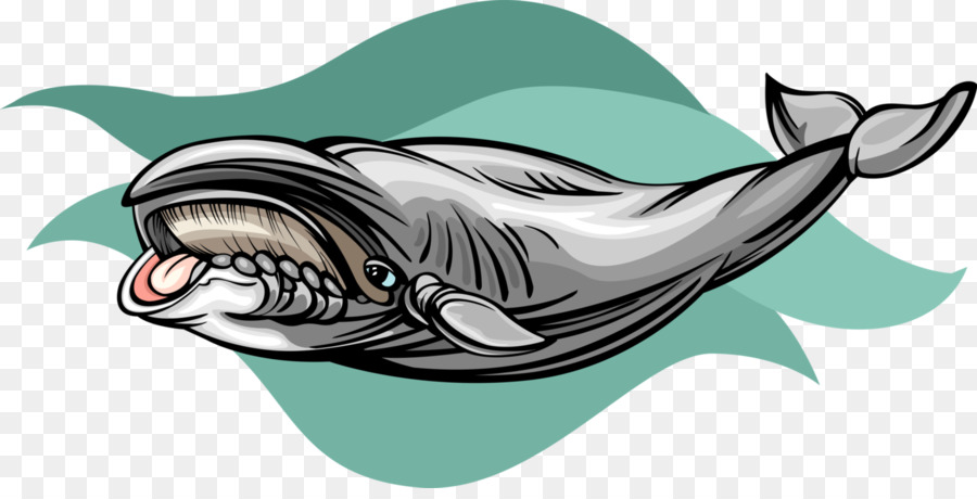 Requiemhaie Delfinschweinswale Illustration - Delphin