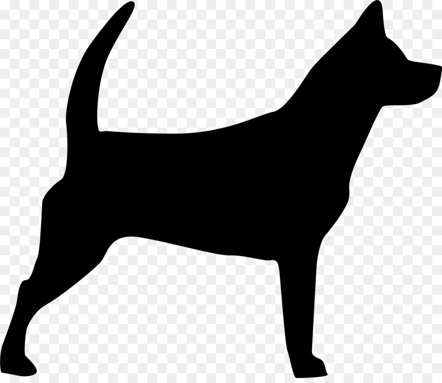 Cucciolo di segugio della razza del cane della siluetta del cane da lepre - 