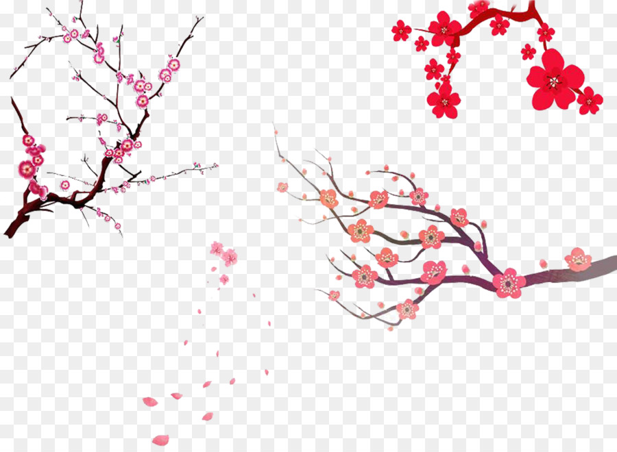 Albero del ramo del fiore di ciliegia della ciliegia dell'asiatico asiatico - fiore di ciliegio