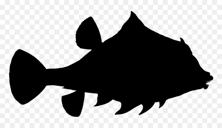 Cá Clip nghệ thuật Fauna Silhouette Snout - 