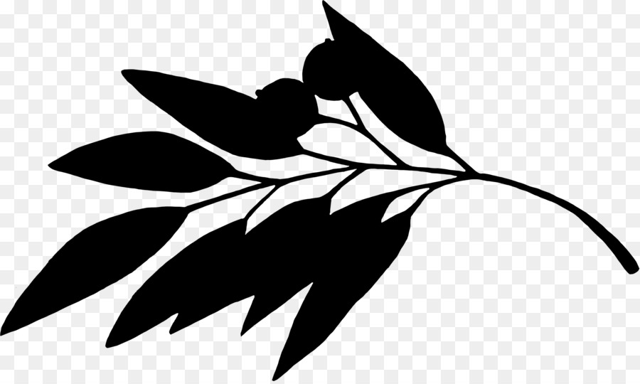 Clip art Blatt Pflanze Stiel Silhouette Blühende pflanze - 