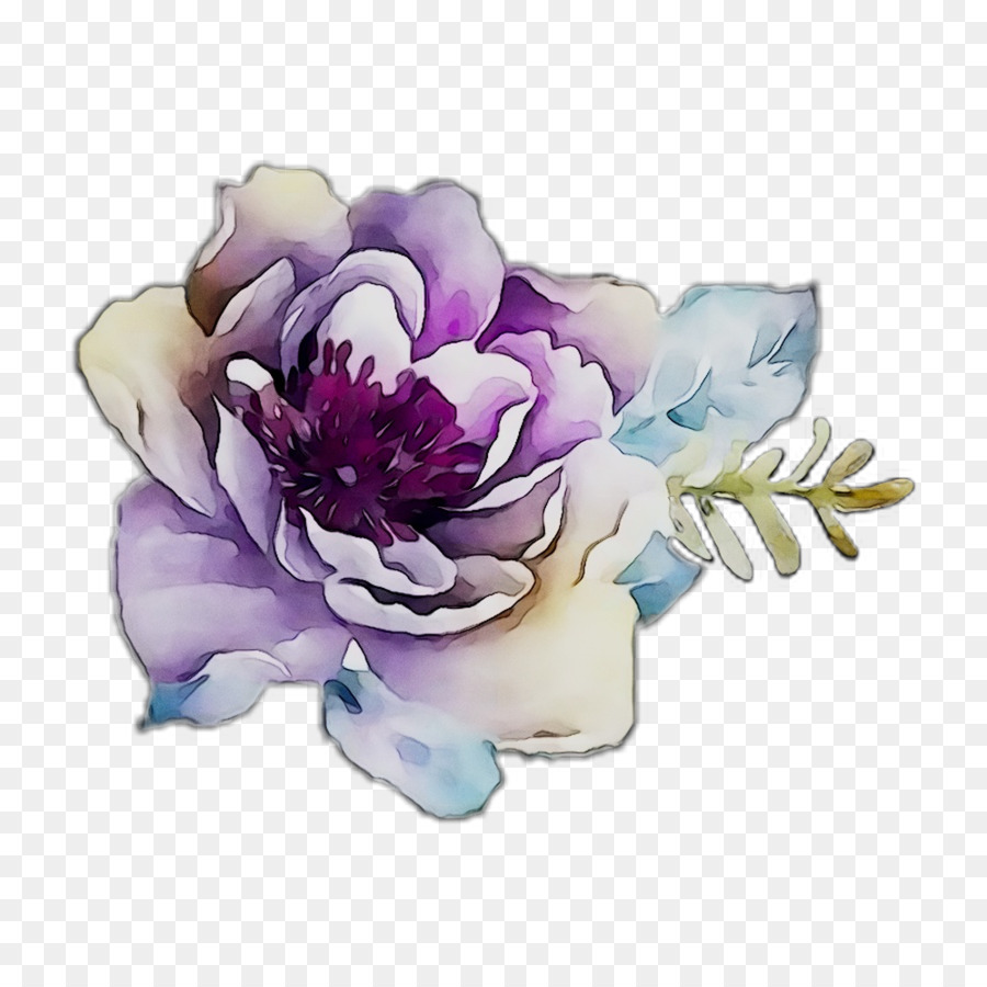 Pfingstrose Schnittblumen Rose Familie - 
