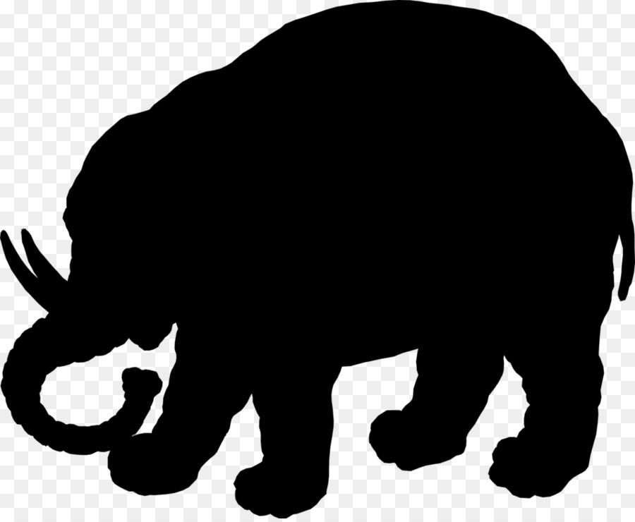Elefante indiano elefante africano Mammifero Bear Dog - 