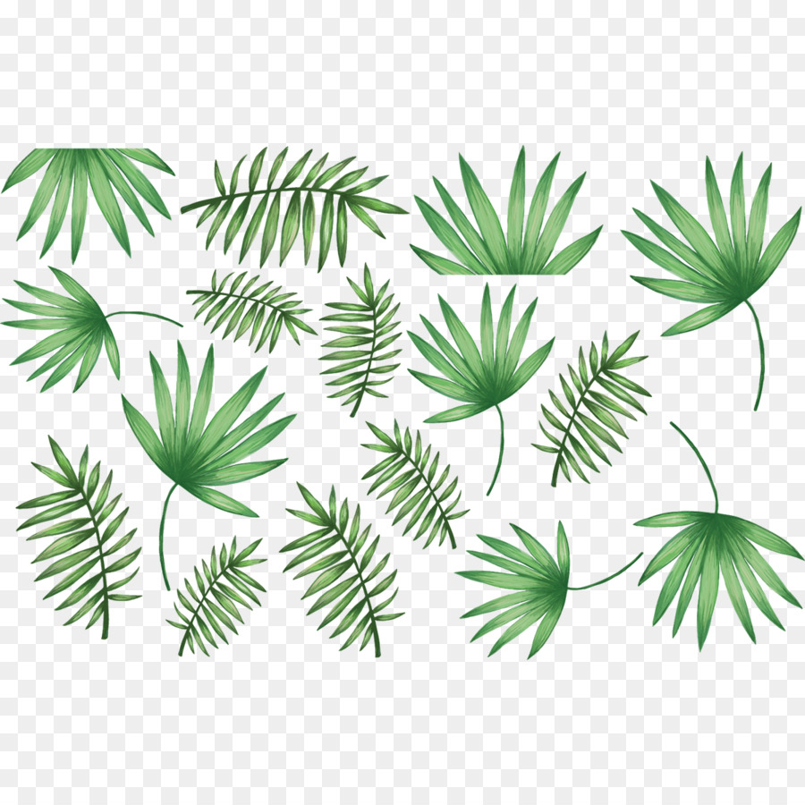 Palmen-Aufkleber Palmzweig Blatt - Blatt