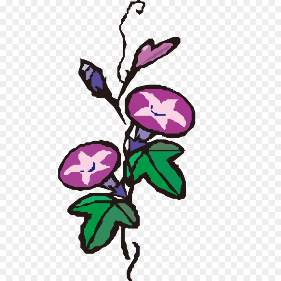 Violet Flower