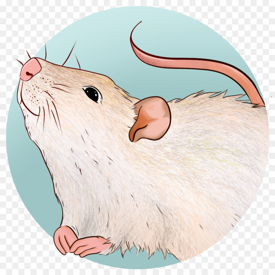 Hình minh họa Gerbil Beaver Râu - con chuột