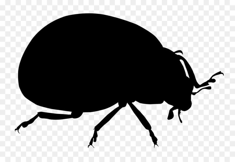 Weevil Dung beetle Clip art Silhouette - 