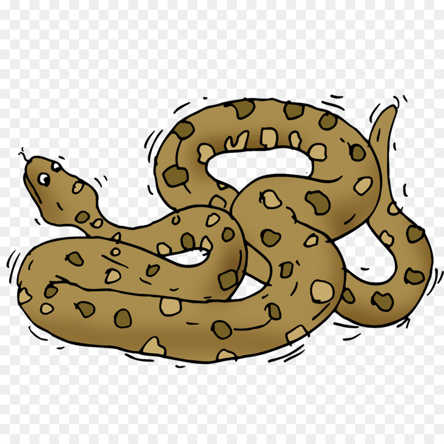 Snake Cartoon png download - 1000*1000 - Free Transparent Snakes png  Download. - CleanPNG / KissPNG