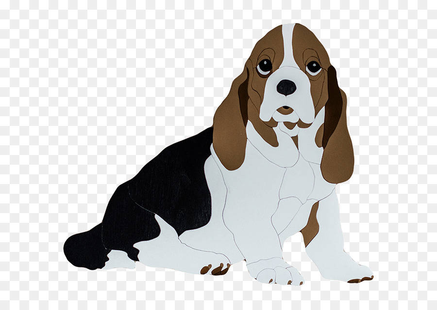 Cane di razza Beagle Cucciolo di cane da compagnia Muso - cucciolo